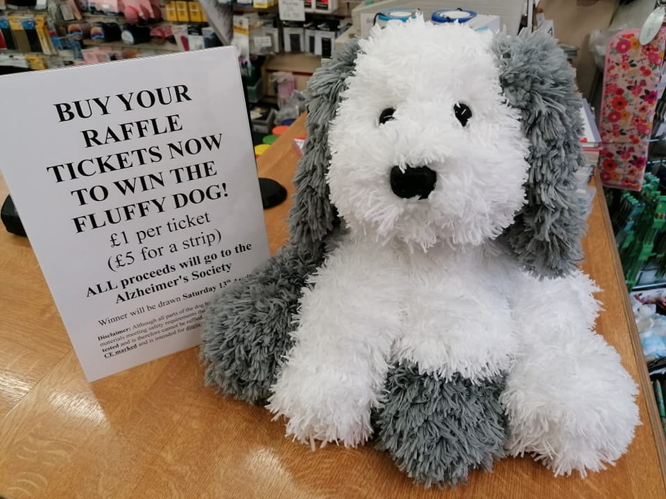 492392766_1232764368851494_3071389583013747556_n